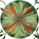Working with Dreams: Discovering Symbols and Transformation